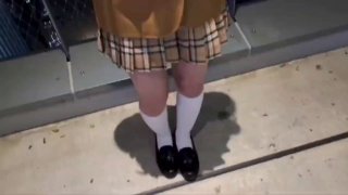 成人XX视频视频- 高清在线观看
